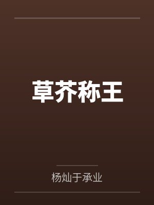 灰色——婚后的那些年封面