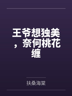 姐夫的荣耀17卷封面