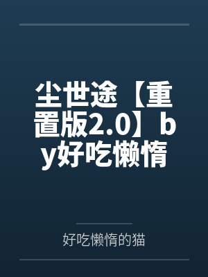 璀璨王牌TXT下载封面