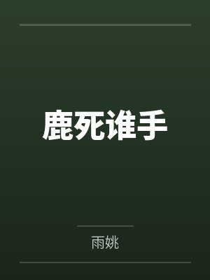 遇见你时天未暗封面